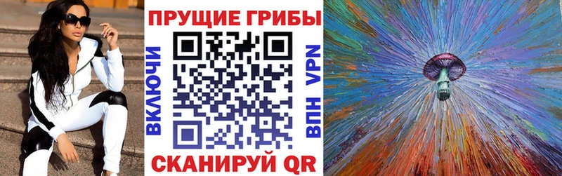 Псилоцибиновые грибы Psilocybe  блэк спрут ТОР  Далматово 